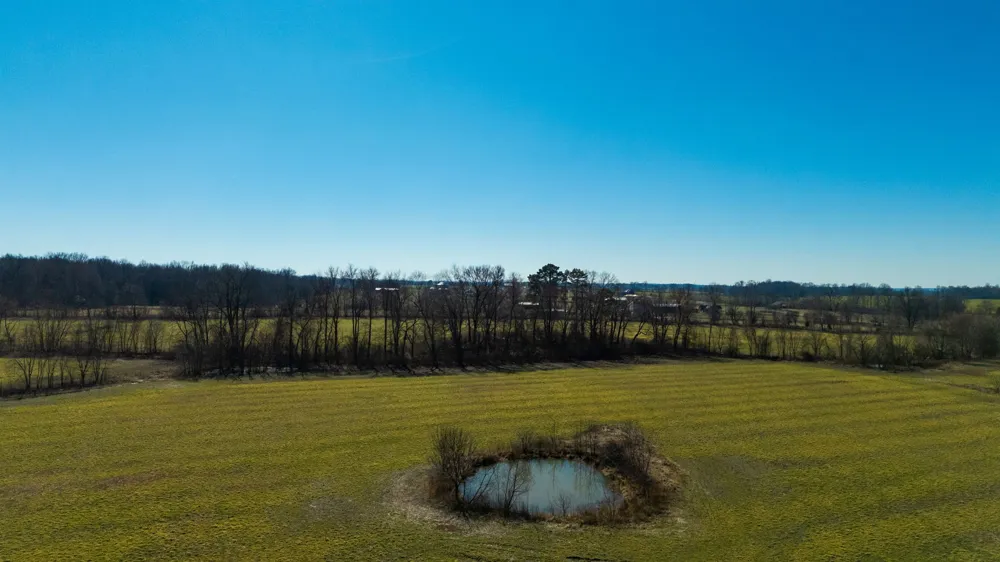 1902 Kinneys Rd Adams, TN 37010