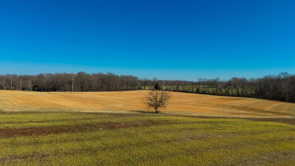 1902 Kinneys Rd Adams, TN 37010
