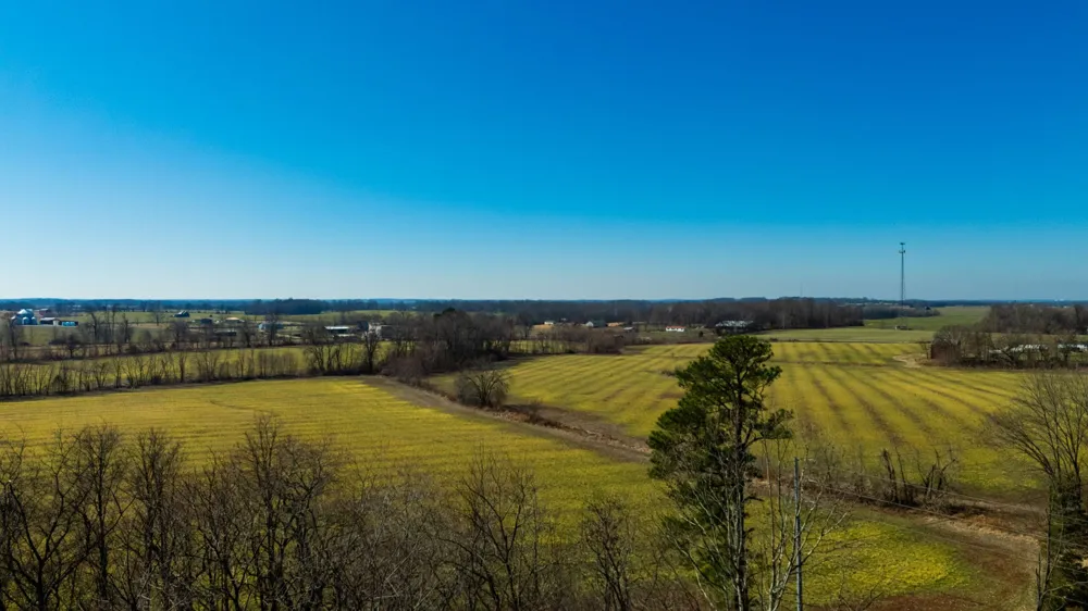 1902 Kinneys Rd Adams, TN 37010
