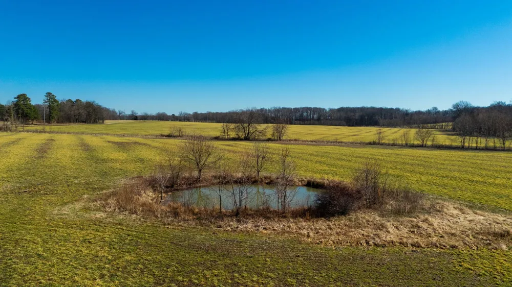 1902 Kinneys Rd Adams, TN 37010