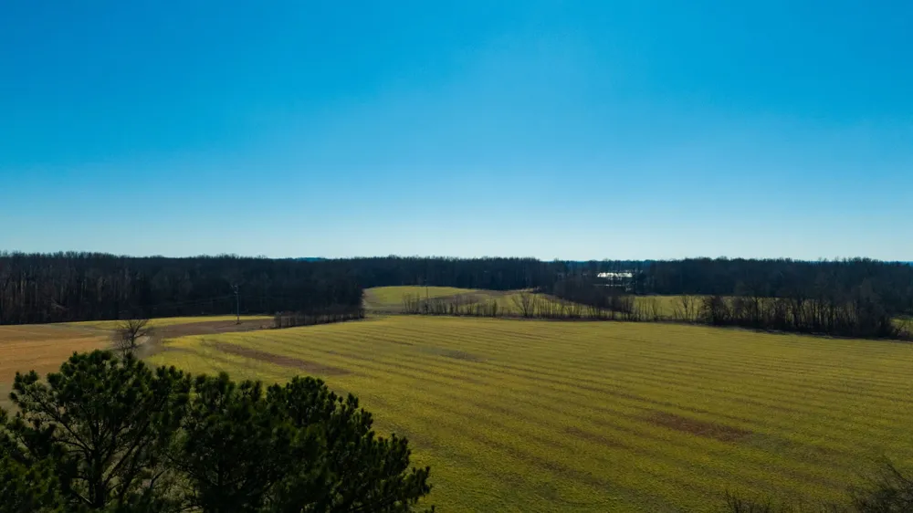 1902 Kinneys Rd Adams, TN 37010