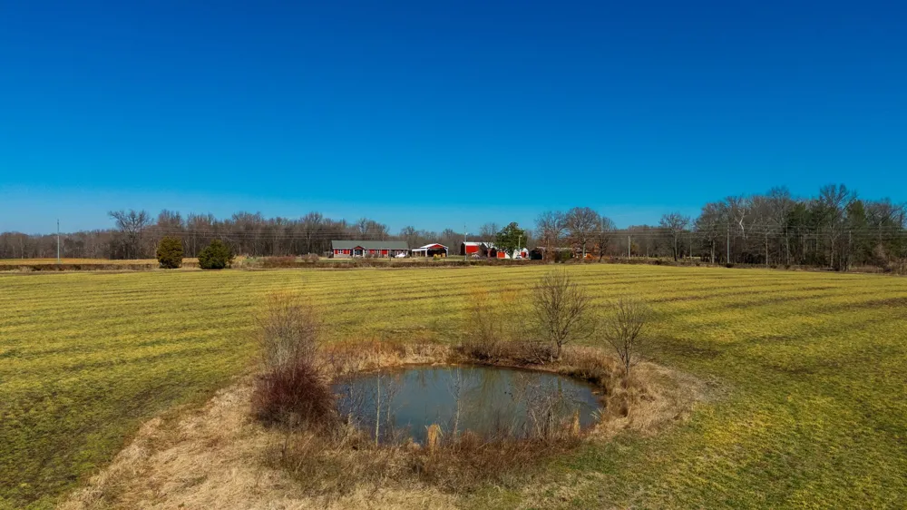 1902 Kinneys Rd Adams, TN 37010