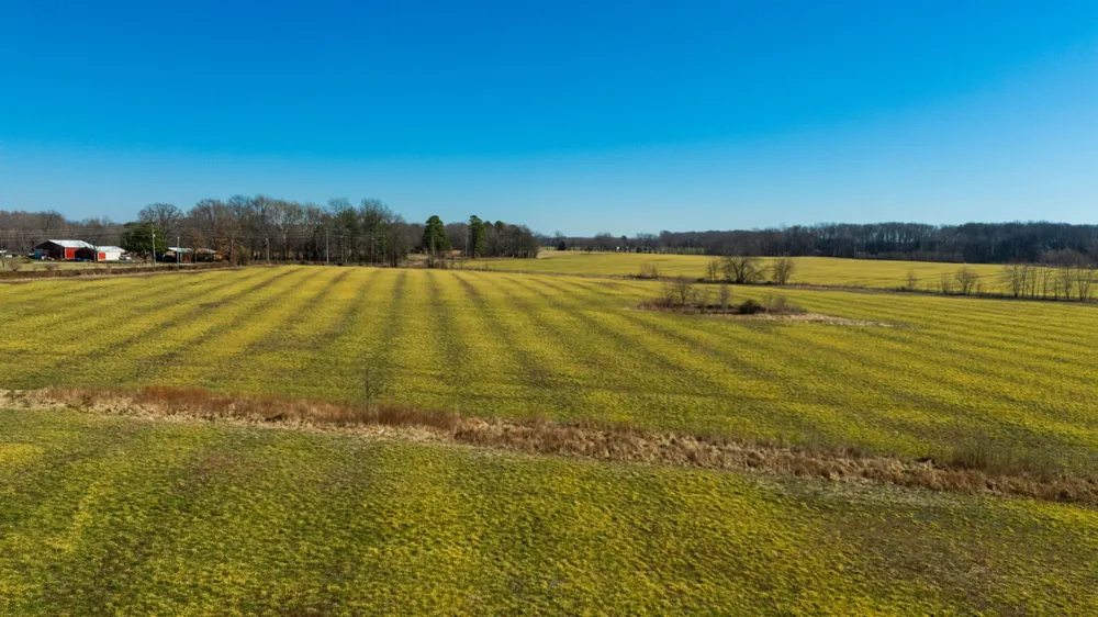 1902 Kinneys Rd Adams, TN 37010