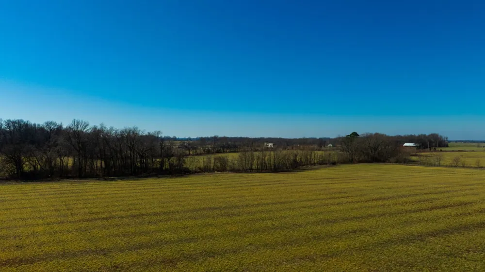 1902 Kinneys Rd Adams, TN 37010