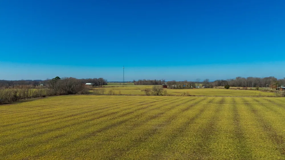 1902 Kinneys Rd Adams, TN 37010