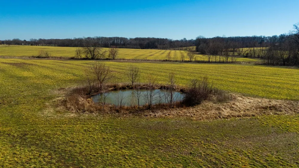 1902 Kinneys Rd Adams, TN 37010
