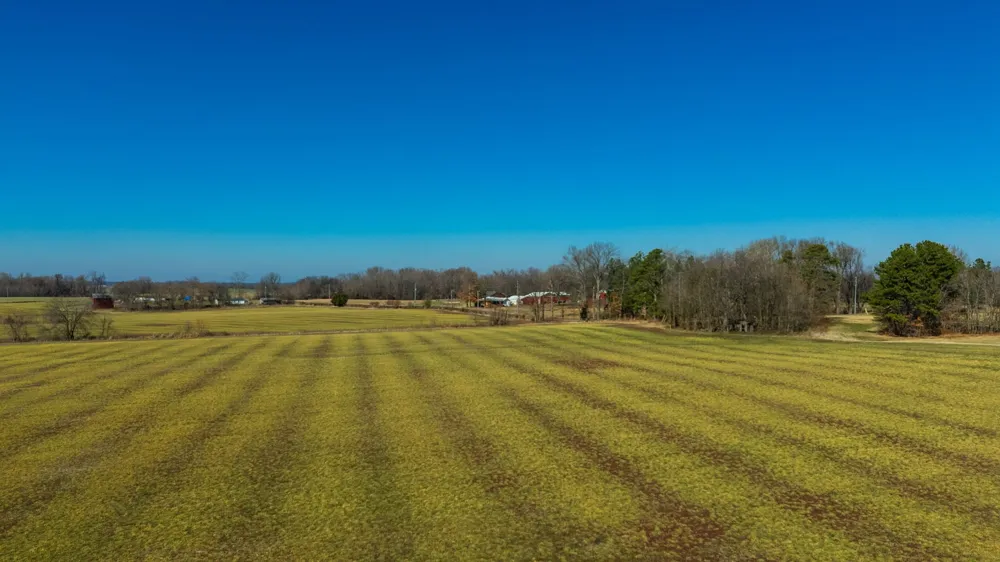 1902 Kinneys Rd Adams, TN 37010