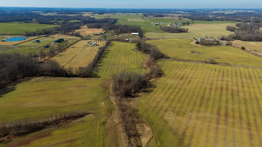 1902 Kinneys Rd Adams, TN 37010