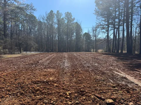 17315 AL Highway 251
