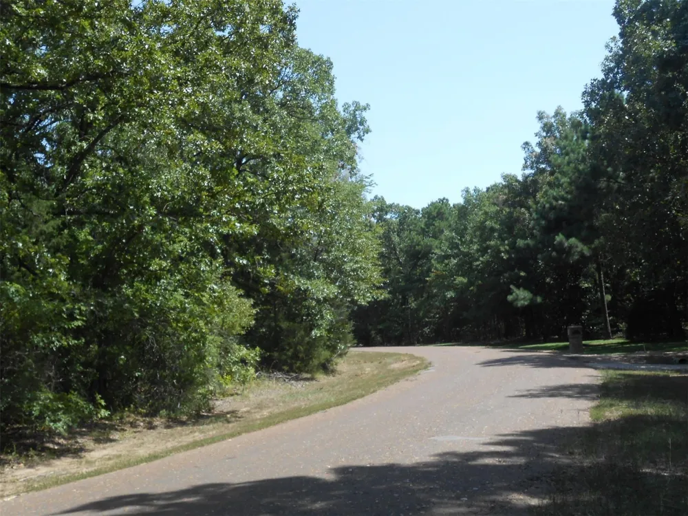 Tobacco Rd Road Brookeland, TX 75931