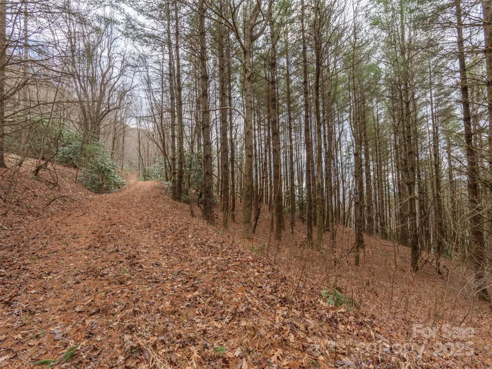 00 Bald Creek Road Clyde, NC 28721