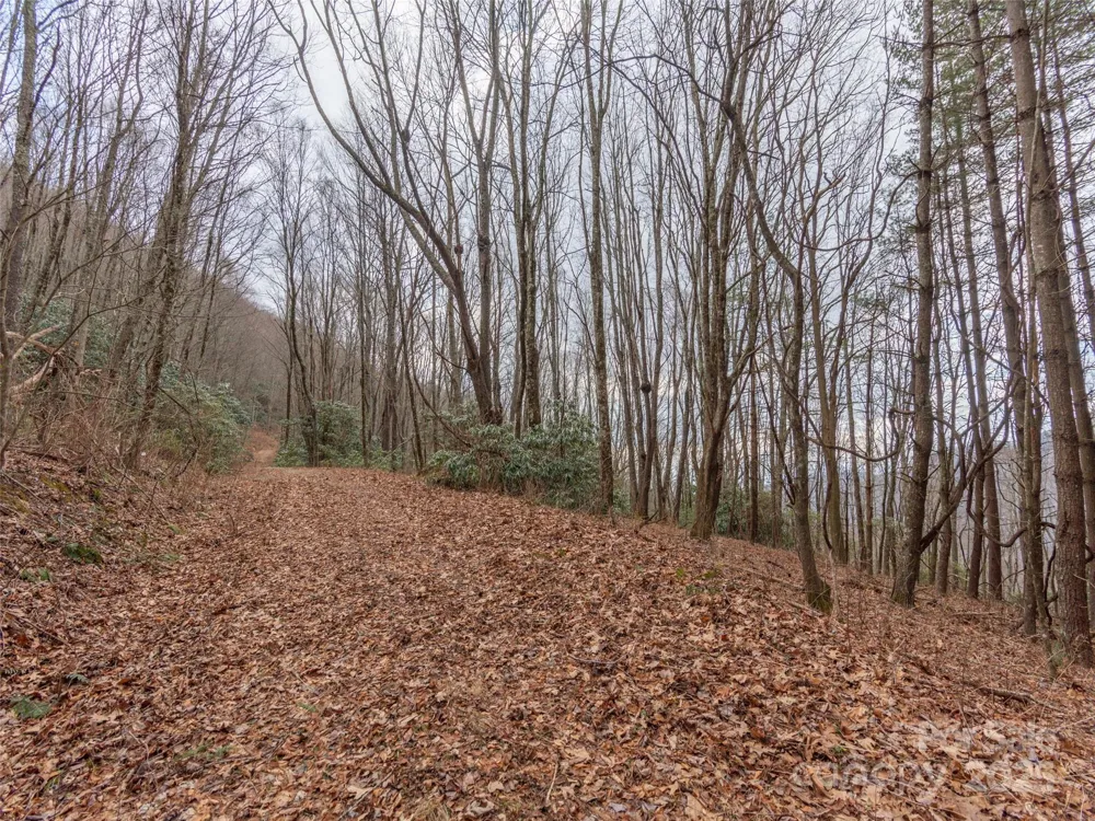 00 Bald Creek Road Clyde, NC 28721