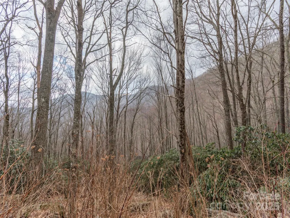 00 Bald Creek Road Clyde, NC 28721
