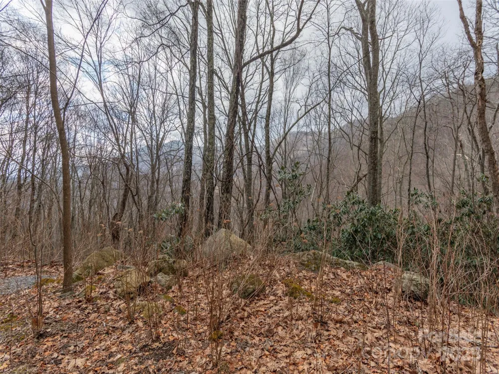 00 Bald Creek Road Clyde, NC 28721