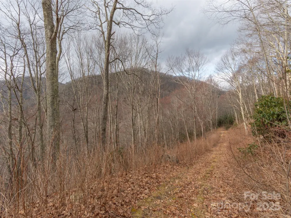 00 Bald Creek Road Clyde, NC 28721