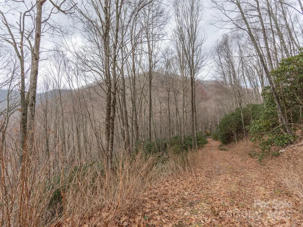 00 Bald Creek Road Clyde, NC 28721