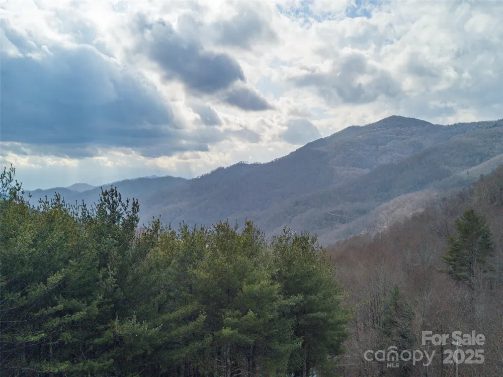 00 Bald Creek Road Clyde, NC 28721