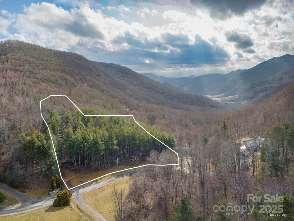 00 Bald Creek Road Clyde, NC 28721