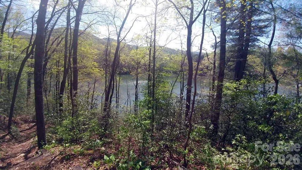 Lot 5 Dars Lane Tuckasegee, NC 28783