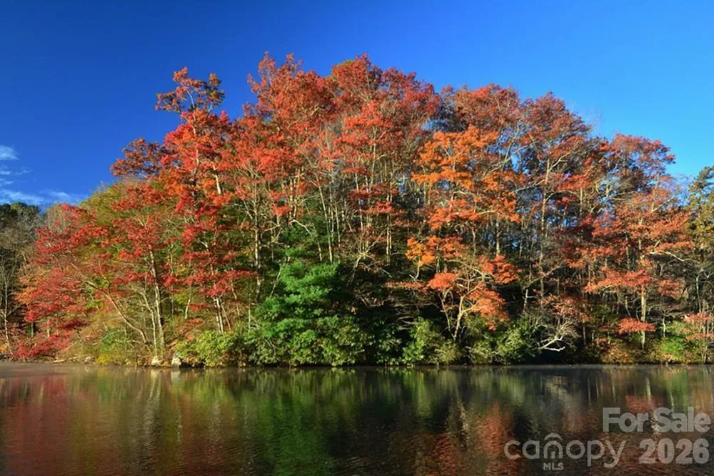 Lot 5 Dars Lane Tuckasegee, NC 28783