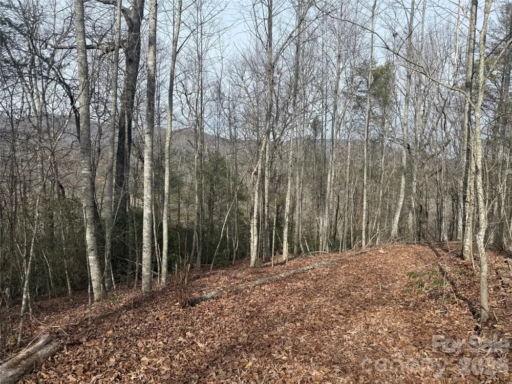 Lot 10, 11 River Run Run Franklin, NC 28734