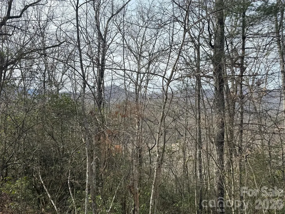 Lot 10, 11 River Run Run Franklin, NC 28734