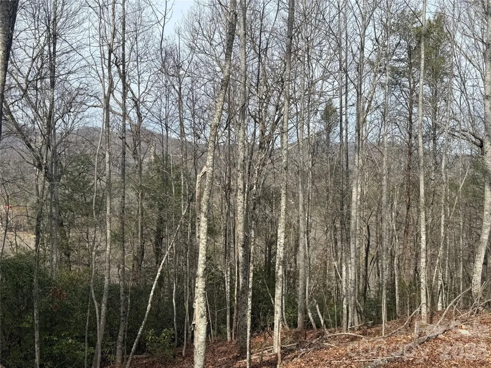 Lot 10, 11 River Run Run Franklin, NC 28734