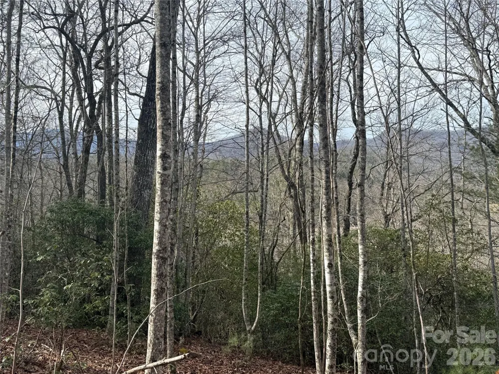 Lot 10, 11 River Run Run Franklin, NC 28734
