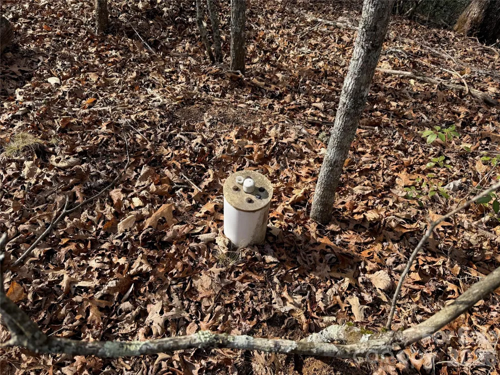 Lot 10, 11 River Run Run Franklin, NC 28734