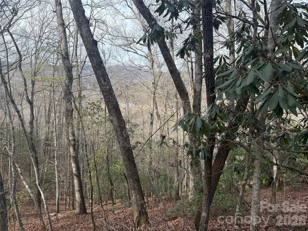 Lot 10, 11 River Run Run Franklin, NC 28734
