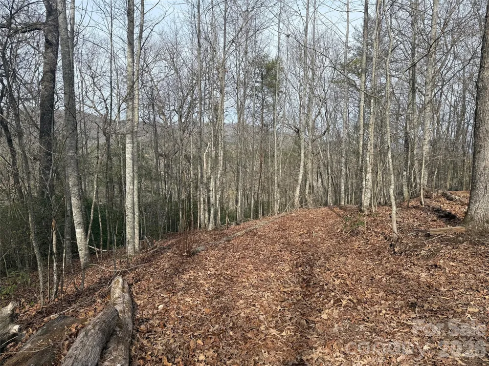 Lot 10, 11 River Run Run Franklin, NC 28734