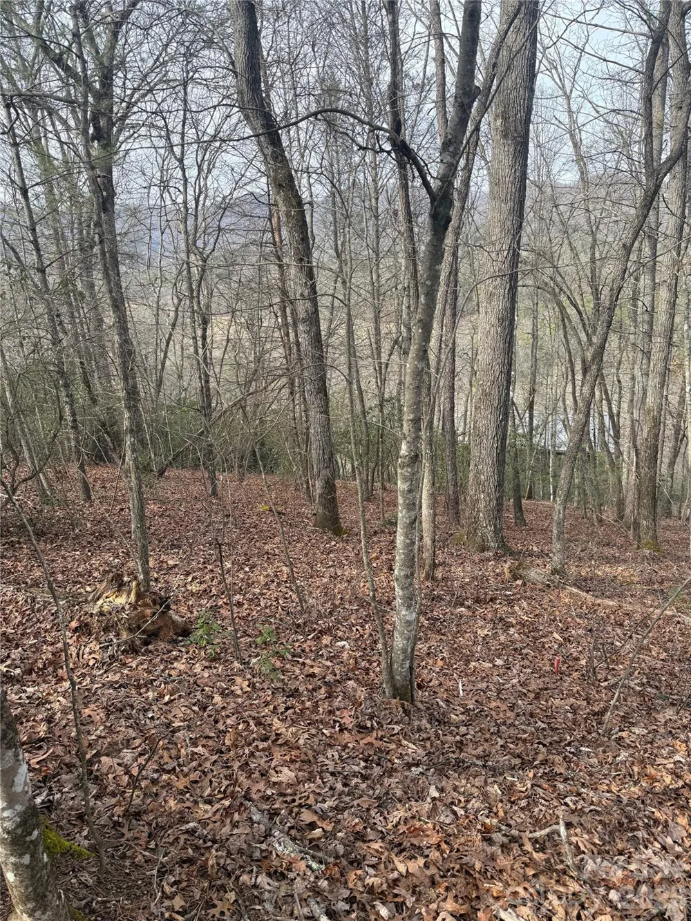 Lot 10, 11 River Run Run Franklin, NC 28734