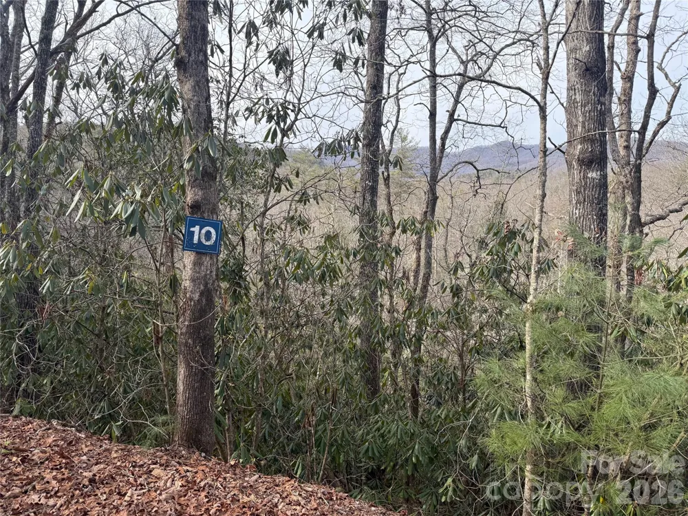 Lot 10, 11 River Run Run Franklin, NC 28734