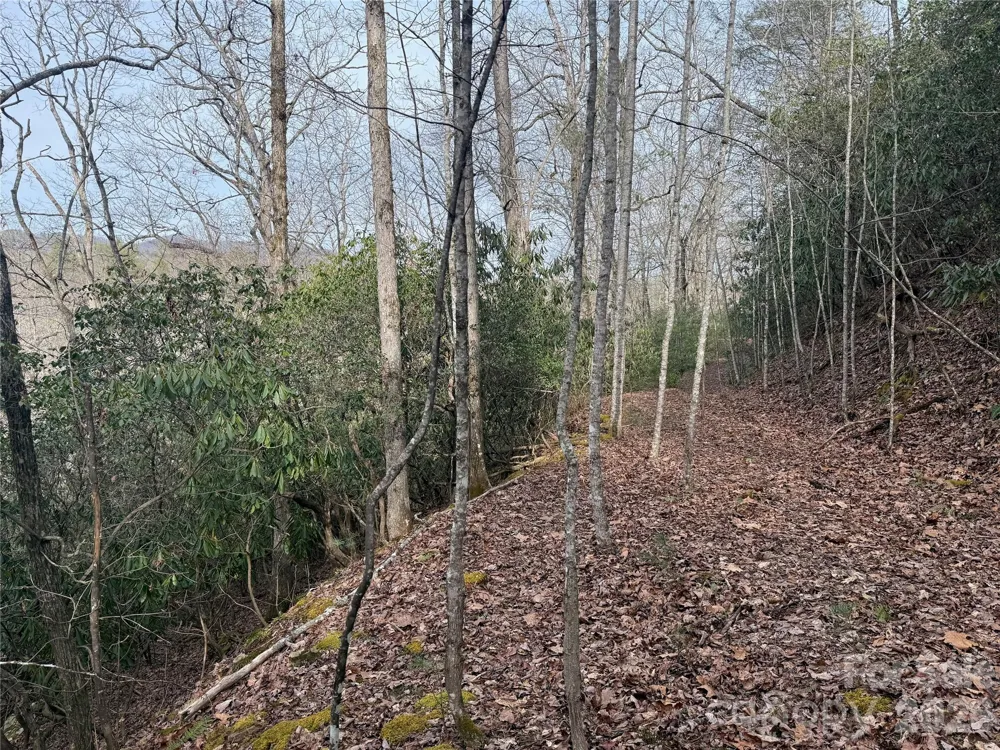 Lot 10, 11 River Run Run Franklin, NC 28734
