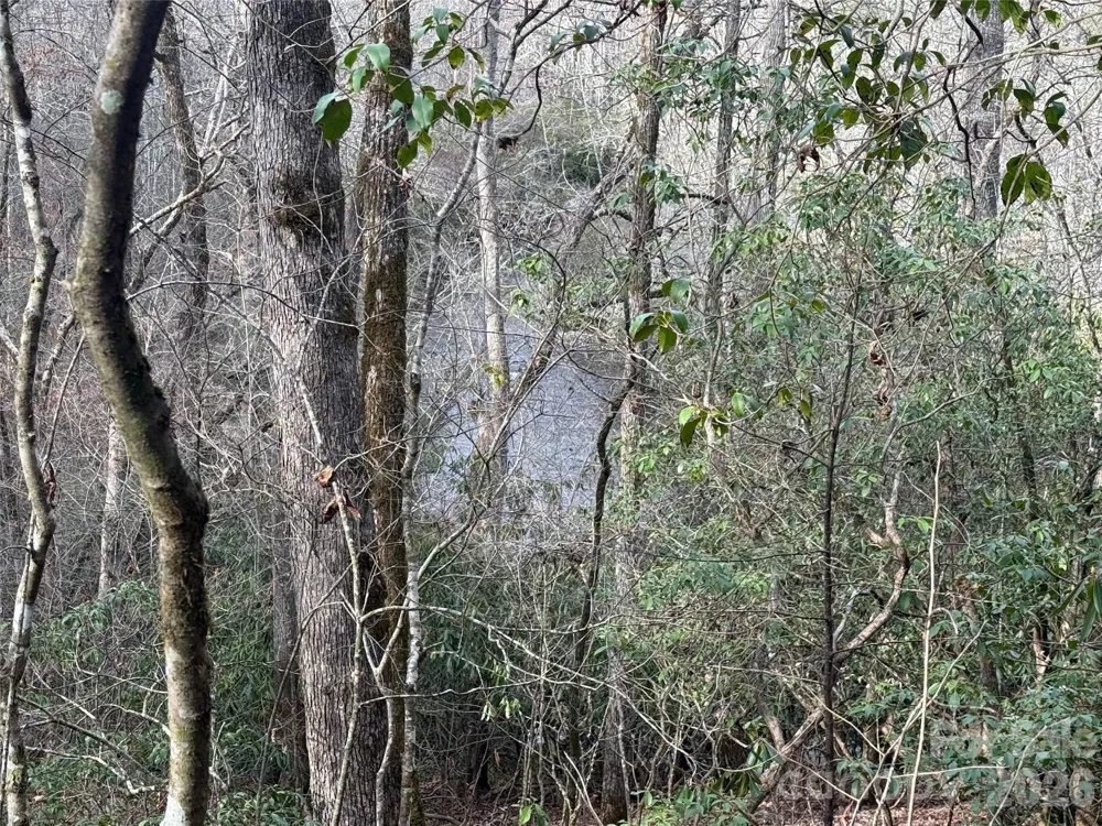 Lot 10, 11 River Run Run Franklin, NC 28734