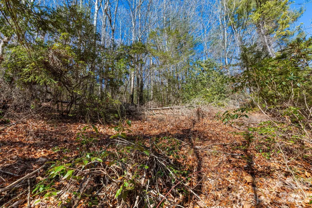 999 Flat Creek Valley Road Lake Toxaway, NC 28747