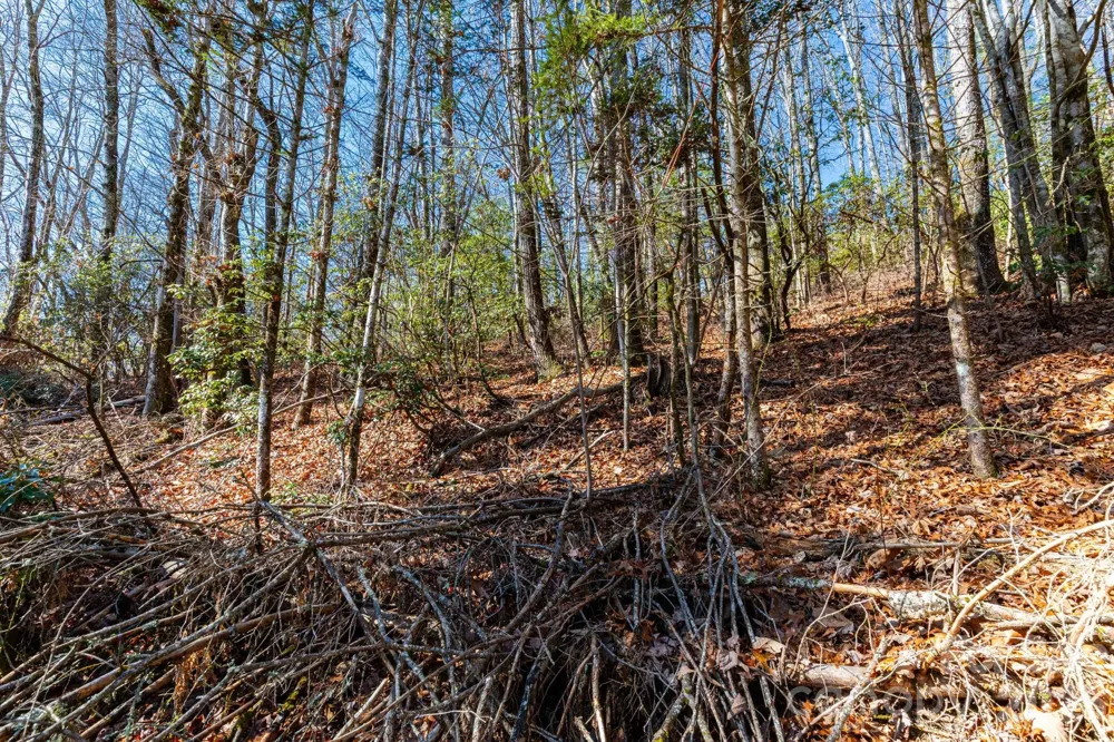 999 Flat Creek Valley Road Lake Toxaway, NC 28747