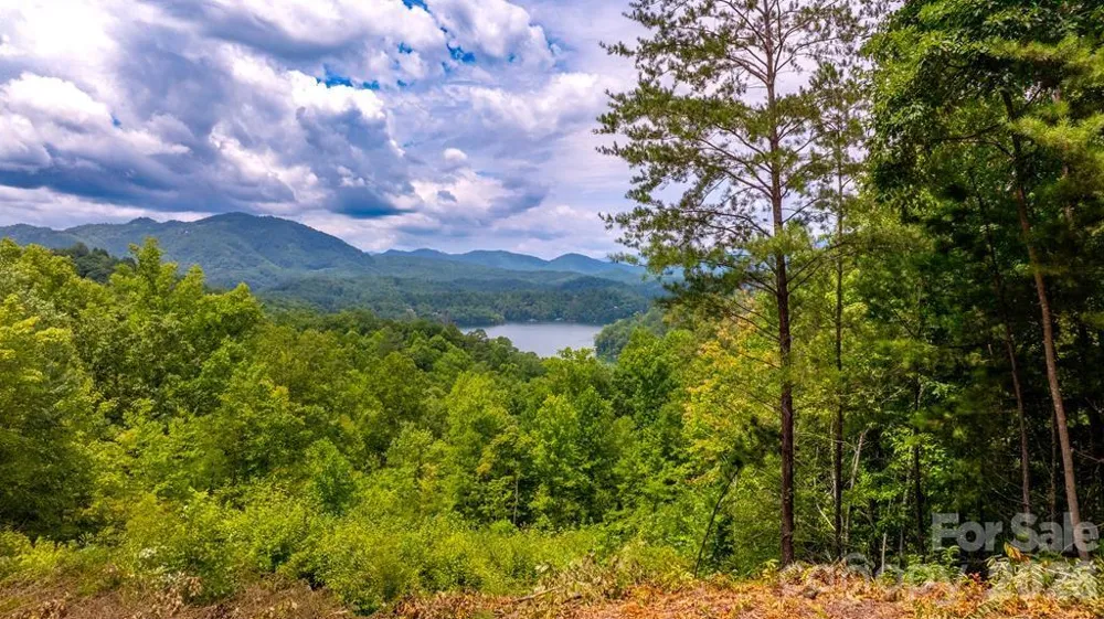 87-3 Eagles Flight Bryson City, NC 28713