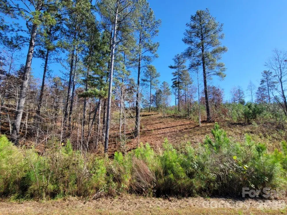 2076 Island View Lane NE Connelly Springs, NC 28612
