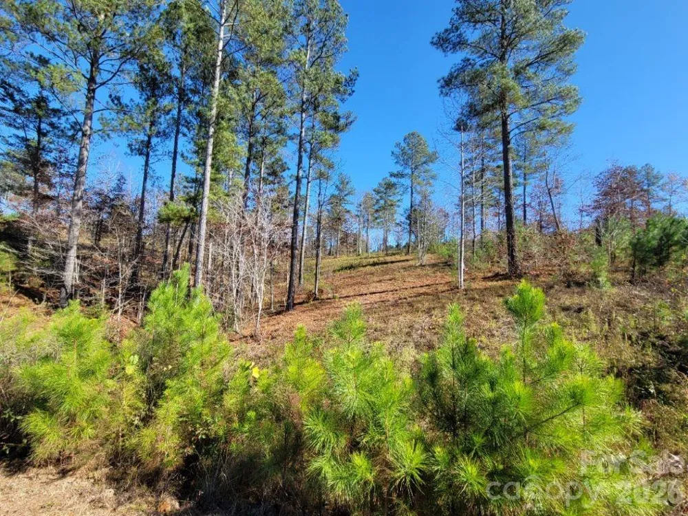 2076 Island View Lane NE Connelly Springs, NC 28612