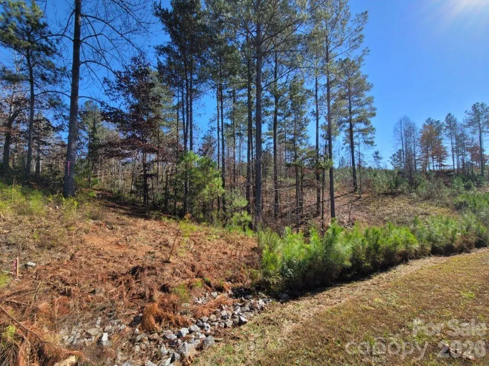 2076 Island View Lane NE Connelly Springs, NC 28612