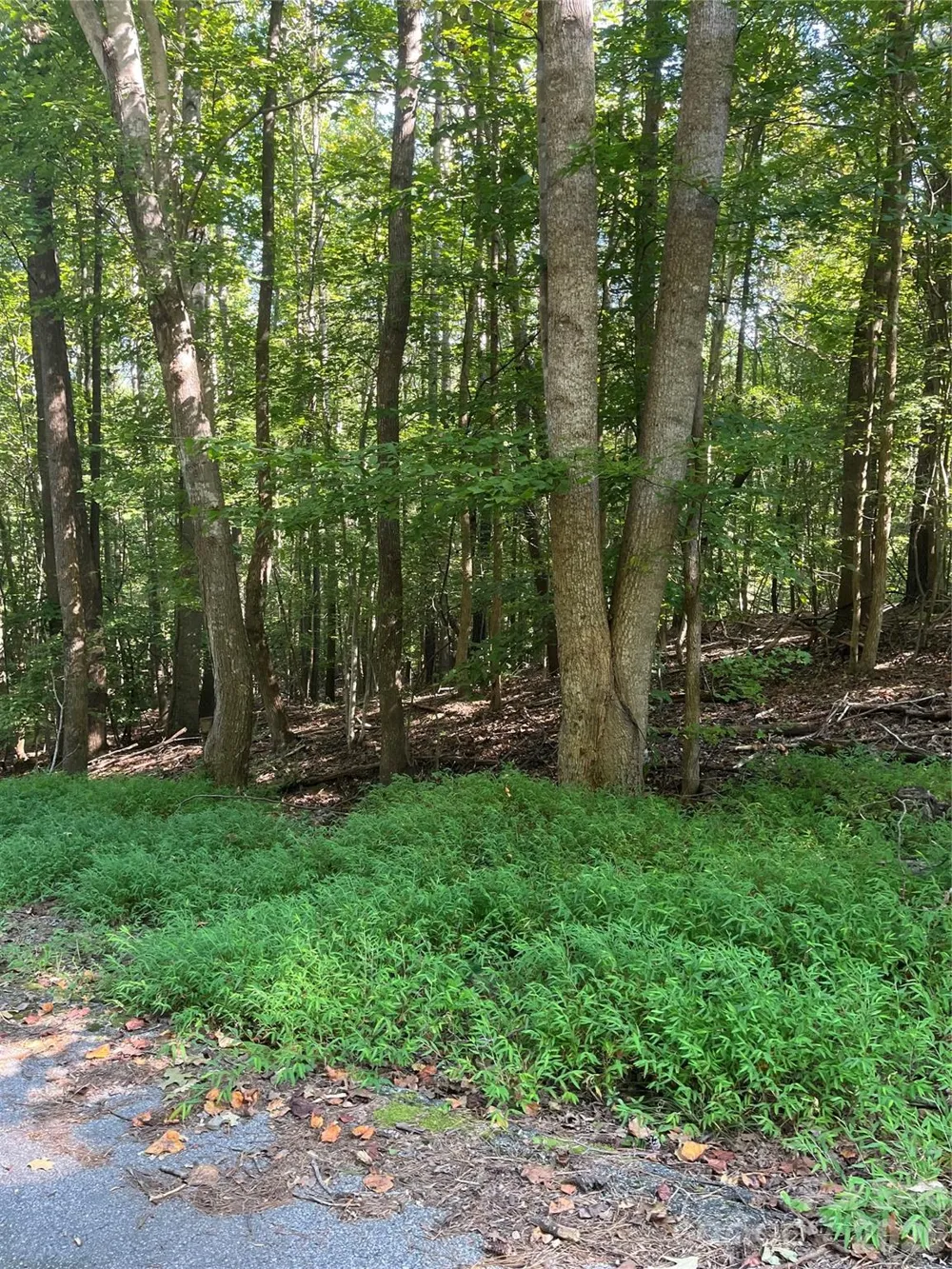 0 Lakeside Drive Union, SC 29379