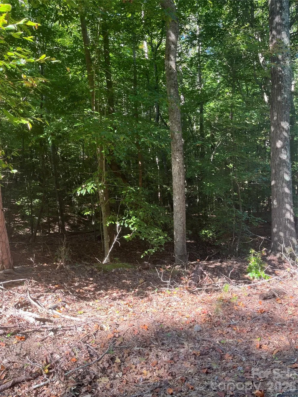 0 Lakeside Drive Union, SC 29379