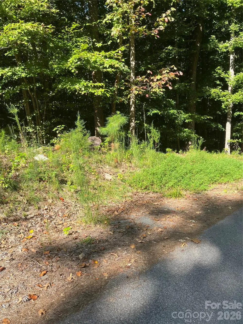 0 Lakeside Drive Union, SC 29379