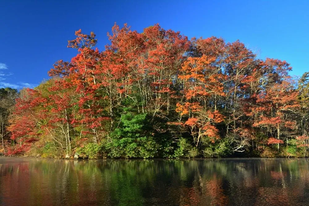 Dars Lane Tuckasegee, NC 28783
