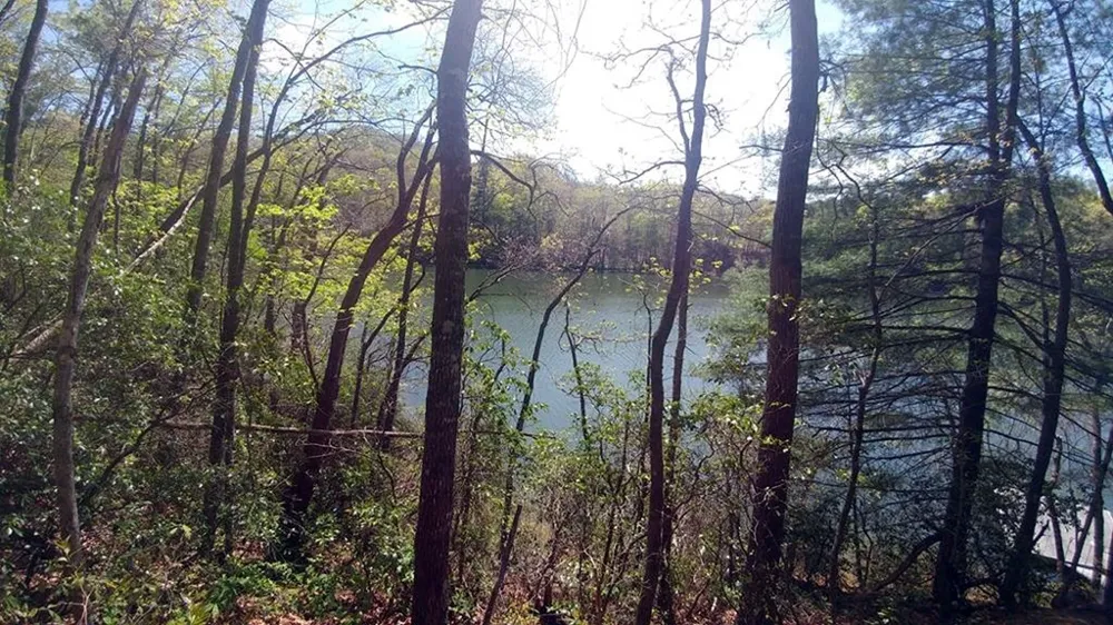 Dars Lane Tuckasegee, NC 28783