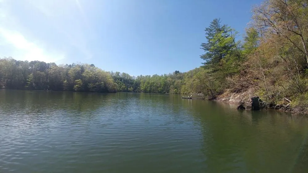 Dars Lane Tuckasegee, NC 28783