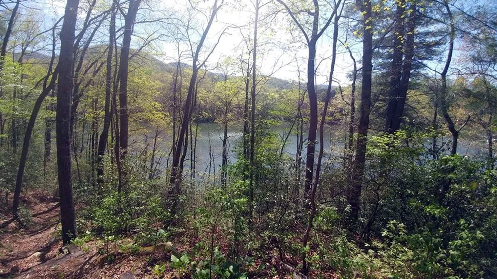 Dars Lane Tuckasegee, NC 28783