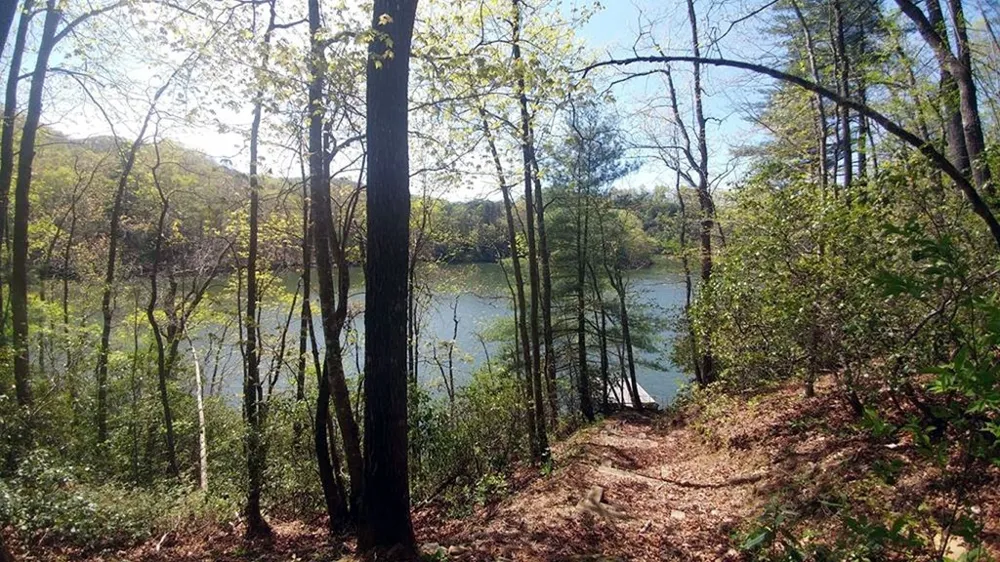 Dars Lane Tuckasegee, NC 28783