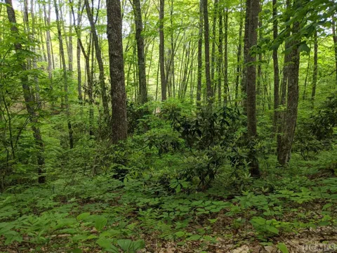 17010 Buck Knob Road